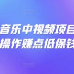 可视化音乐中视频项目，无脑操作赚点低保钱