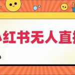 小红书无人直播，​最新小红书无人、半无人、全域电商