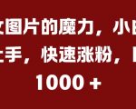 美女图片的魔力，小白轻松上手，快速涨粉，日入几张【揭秘】