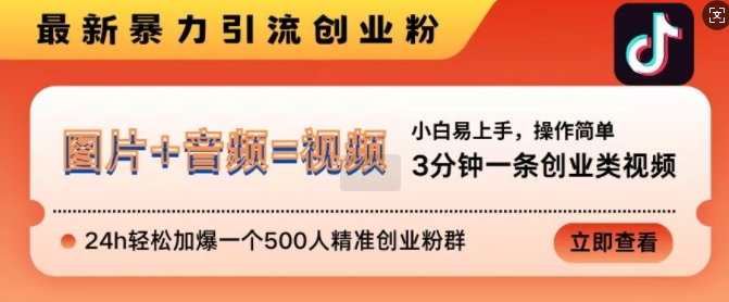 抖音最新暴力引流创业粉,3分钟一条创业类视频,24h轻松加爆一个500人精准创业粉群【揭秘】