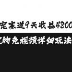 萌宠赛道9天收益4800元，AI宠物免视频详细玩法拆解
