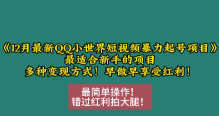12月最新QQ小世界短视频暴力起号项目,最适合新手的项目,多种变现方式