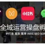 全域运营操盘(抖音+私域+小红书)，IP打造高效简单