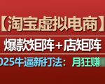 淘宝虚拟电商，2025牛逼新打法：爆款矩阵+店矩阵，月入过万