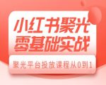 小红书聚光零基础实战，聚光平台投放课程从0到1