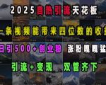 2025自热引流天花板，一条视频能带来四位数的收益，引流+变现双管齐下，日引500+创业粉，涨粉嘎嘎猛