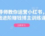 金牌导师教你运营小红书，0基础进阶赚钱博主训练课