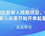 网盘拉新新人陪跑项目，帮助新人从零开始开单起量