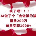 疯了吧！用AI做了个“会做饭的猫”，播放200万，单日变现1k