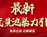 最新“流量池”无门槛暴力引流(全网首发)日引500+