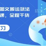 小说推文图文搬运玩法变现提升课，全程干货毫无保留