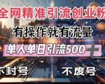 全网独家引流创业粉，有操作就有流量，单人单日引流500+，不封号、不费号