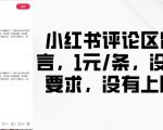 小红书评论区留言，1元条，没有要求，没有上限