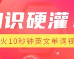 知识硬灌，1分钟教会你，利用AI制作爆火10秒钟记一个英文单词视频