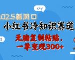 2025新风口，小红书冷知识赛道，无脑复制粘贴，一单变现300+