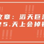 付费文章：滔天巨浪来袭！2025天上会掉钱吗？