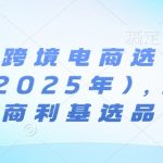 亚马逊跨境电商选品案例(更新2025年2月)，跨境电商利基选品