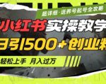 2月小红书最新日引500+创业粉实操教学【超详细】小白轻松上手，月入1W+，附小红书养号起号SOP