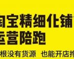 淘宝精细化铺货运营陪跑(部分更新至2025)，草根没有货源 也能开店挣钱
