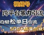 跨平台暴力引流，私域完美闭环，日引500+精准创业粉