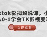 TikTok影视解说课，小白从0-1学会TK影视变现