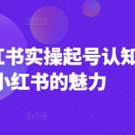 2025小红书实操起号认知课，小红书的魅力