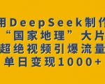 用DeepSeek制作“国家地理”大片，超绝视频引爆流量，单日变现多张