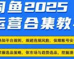 2025闲鱼电商运营全集，2025最新咸鱼玩法