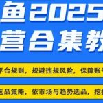 2025闲鱼电商运营全集，2025最新咸鱼玩法