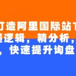 4个月打造阿里国际站TOP店铺，懂逻辑，精分析，会规划，快速提升询盘量