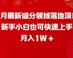 2月最新细分领域落地项目，新手小白也可快速上手，月入1W