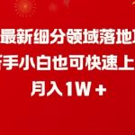 2月最新细分领域落地项目，新手小白也可快速上手，月入1W