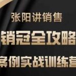 张阳讲销售实战训练营，​案例实战训练，销冠全攻略