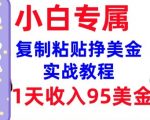 复制粘贴挣美金，0门槛，1天收入95美刀，3分钟学会，内部教程(首次公开)