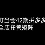 叮当会拼多多打爆班原创高阶技术第42期，拼多多全店托管矩阵