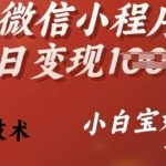 25年微信小程序推广单日变现多张，独家技术，小白宝妈轻松上手【揭秘】