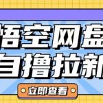 全网首发悟空网盘云真机自撸拉新项目玩法单机可挣10.20不等