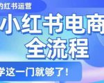 小红书电商全流程，精简易懂，从入门到精通，学这一门就够了