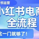 小红书电商全流程，精简易懂，从入门到精通，学这一门就够了
