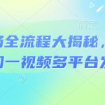 河马剧场全流程大揭秘，短剧爆款精选同一视频多平台发布实操