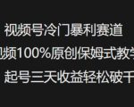 视频号冷门暴利赛道视频100%原创保姆式教学起号三天收益轻松破千