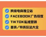 跨境电商独立站及全域流量营销，从0基础快速入门并精通跨境电商运营