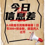 5.0闲鱼引流爆单秘籍，日引300+创业粉，稳定月入过W