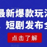 短剧最新爆款玩法详细实操，短剧发布全流程