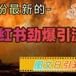 小红书超劲爆引流手段，图文日引300+轻松变现1W