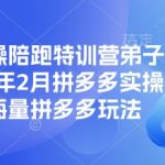 拼多多实操陪跑特训营弟子班，2025年2月拼多多实操课程，海量拼多多玩法
