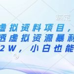 闲鱼卖虚拟资料项目，手把手带你吃透虚拟资源暴利玩法，月入2W，小白也能复制