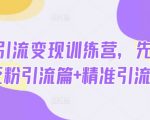 热点引流变现训练营，先导篇+泛粉引流篇+精准引流篇