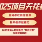 2025项目天花板普通人如何通过知识付费，实现财F自由【揭秘】
