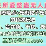 一生所爱无人整蛊升级版9.0，利用动态噪点+光斑粒子光条推进的特效玩法，实现24小时实时直播不违规操，单场日入1.5k